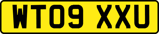 WT09XXU