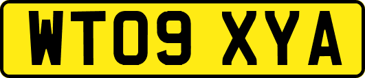 WT09XYA