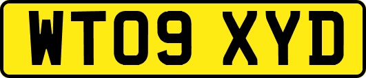 WT09XYD