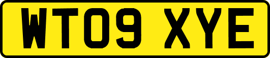 WT09XYE