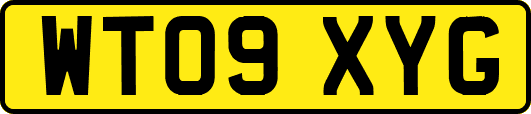 WT09XYG