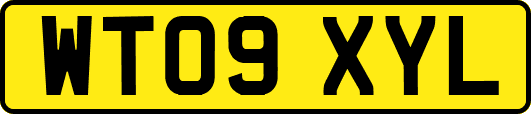 WT09XYL
