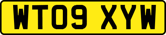 WT09XYW