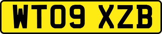 WT09XZB