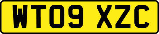 WT09XZC