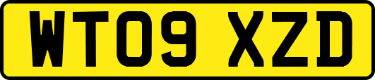 WT09XZD