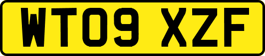 WT09XZF