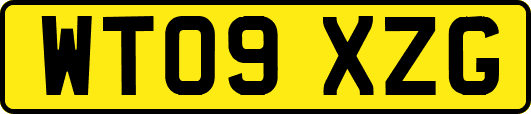 WT09XZG