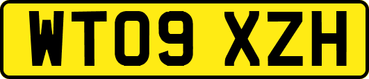 WT09XZH