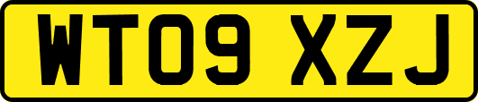WT09XZJ