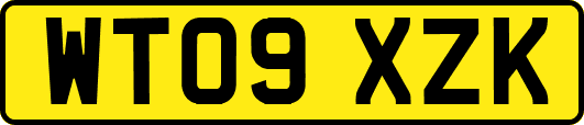 WT09XZK