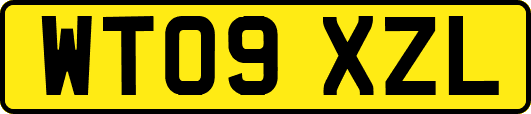 WT09XZL