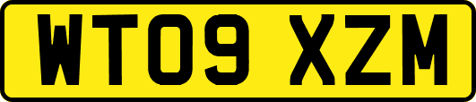 WT09XZM
