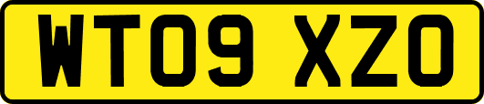 WT09XZO