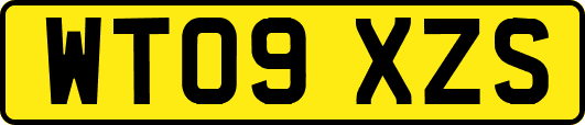 WT09XZS