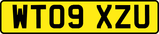 WT09XZU