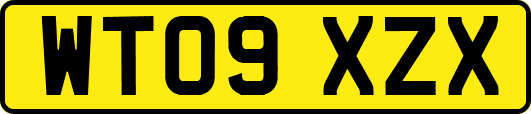 WT09XZX