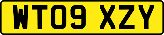 WT09XZY
