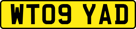 WT09YAD