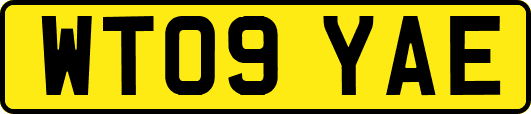 WT09YAE
