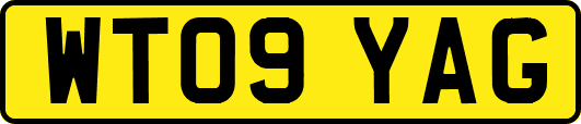 WT09YAG