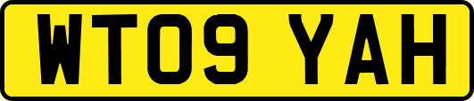 WT09YAH