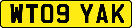WT09YAK