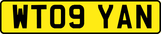 WT09YAN