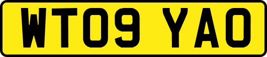 WT09YAO