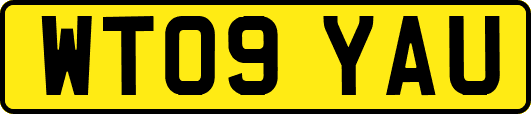 WT09YAU