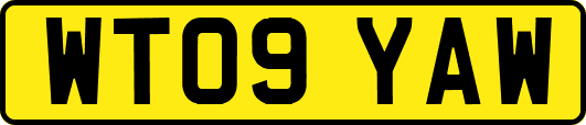WT09YAW