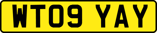WT09YAY