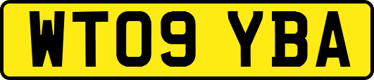 WT09YBA