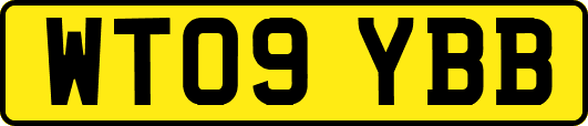 WT09YBB