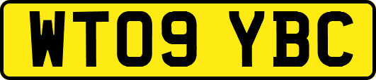 WT09YBC