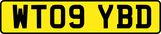 WT09YBD