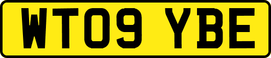 WT09YBE