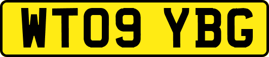WT09YBG