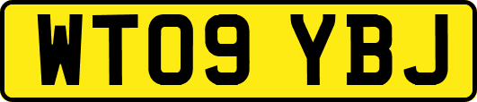 WT09YBJ