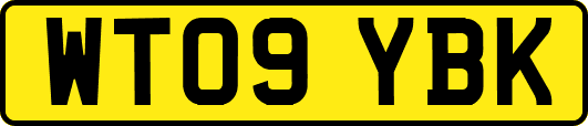 WT09YBK