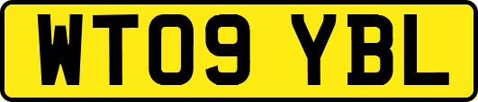 WT09YBL