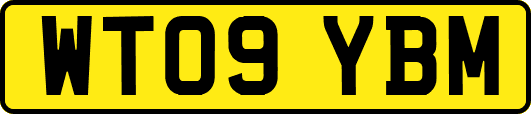WT09YBM