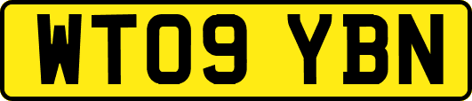 WT09YBN
