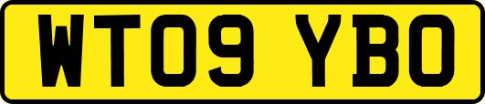 WT09YBO