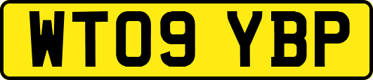 WT09YBP