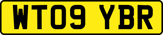 WT09YBR