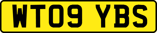 WT09YBS
