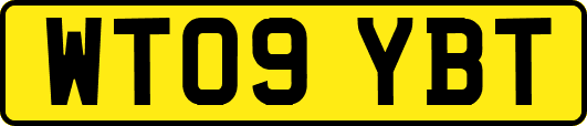 WT09YBT