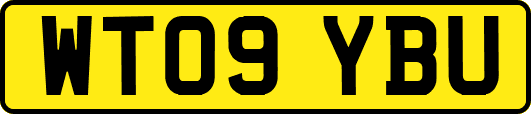 WT09YBU
