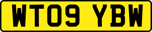 WT09YBW
